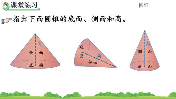 圆锥的特征: (1)底面的特征:圆锥的底面一个圆.