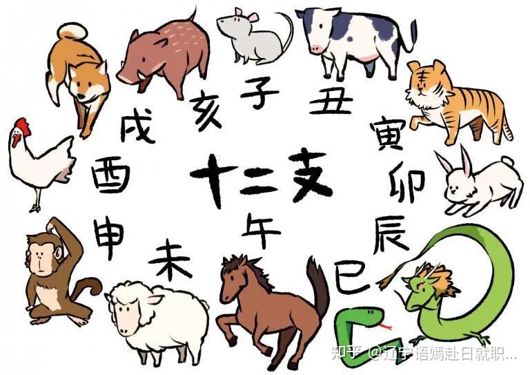 日本的12生肖跟我们基本一致,为"鼠,牛,虎,兔,龙,蛇,马,羊,猿,鸡,犬