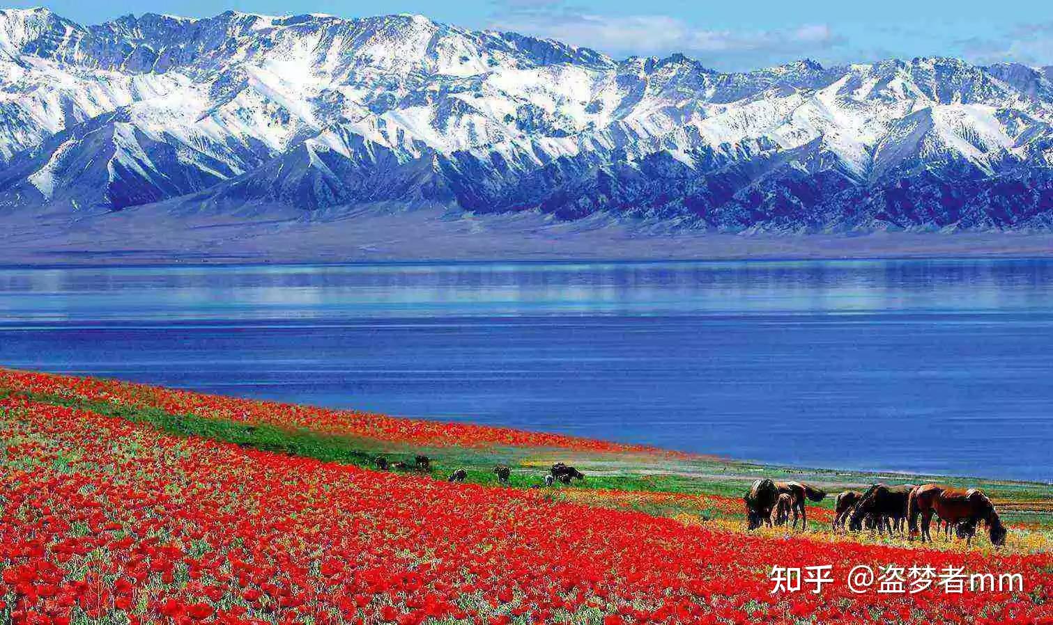 新疆热门旅游景点赛里木湖旅游攻略低音号导游