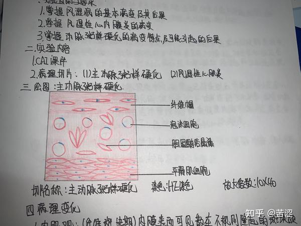 病理学实验红蓝铅笔绘图#病理实验画图