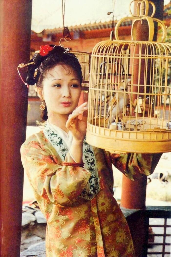 《红楼梦》贾琏(王熙凤)院的妾室,陪房及丫鬟们·资料