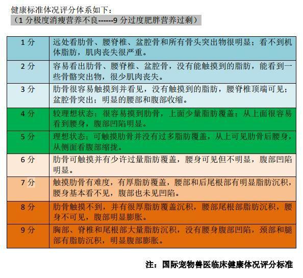 (美国动物营养委员会laflamme,2001) 健康标准体况评分体系如下