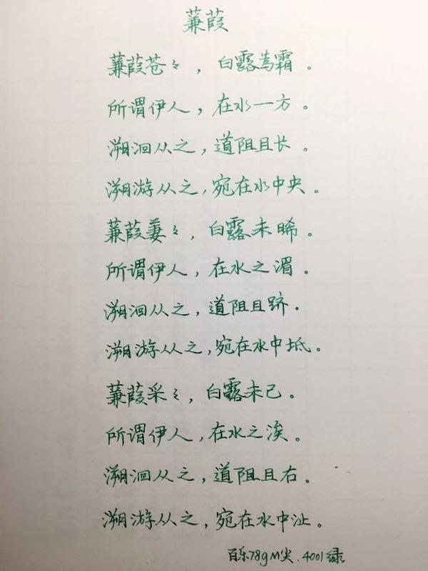 诗经蒹葭钢笔字笔友习作欣赏