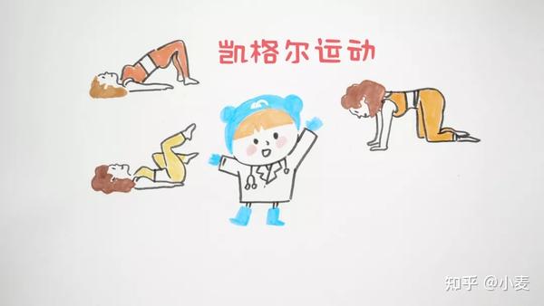 二,凯格尔运动,了解一下