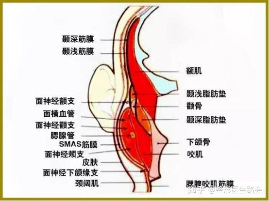 整形医生路会详解:"膨体填充太阳穴"求美者最关心的6个问题