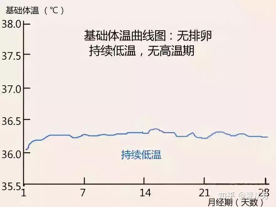 揭秘黄体酮跟怀孕的关系