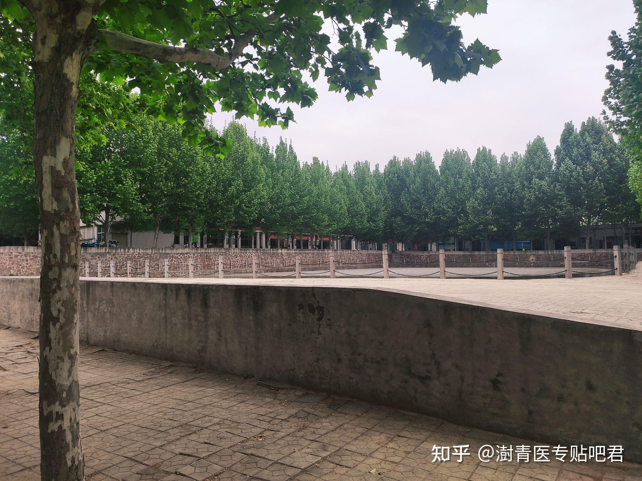 郑州澍青医学高等专科学校2021级新生咨询帖