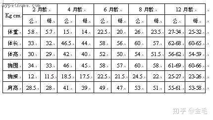 关于金毛的缓减生长计划(配图和金毛体重表)