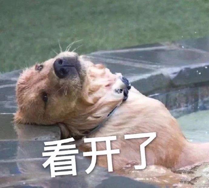 表情生活不易猪猪叹气