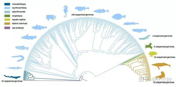 海洋生物基因组学白皮书