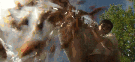 如何克服对蟑螂的恐惧?能看完这部角度刁钻的纪录片你