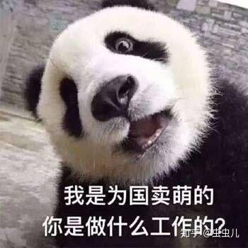 各位有没有什么撒泼打滚的表情包呀?