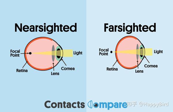 近视与远视 nearsighted vs farsighted