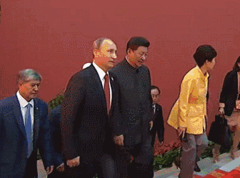 全国独家普京的一天