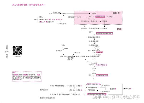 生物化学重点汇总生物化学串讲糖代谢思维导图 知识点