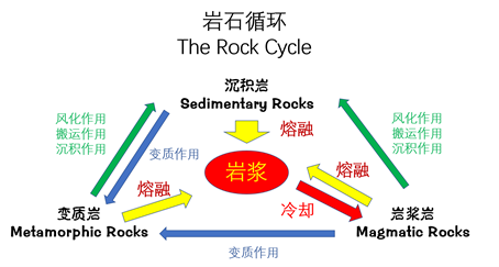 岩石循环—the rock cycle