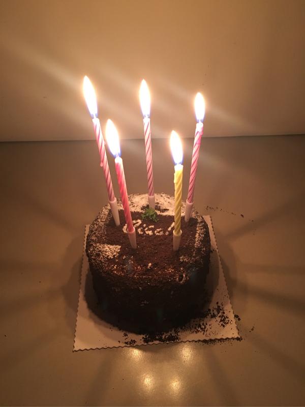 没错……今天是我的23周岁的生日……自己送自己一个蛋糕……自己送
