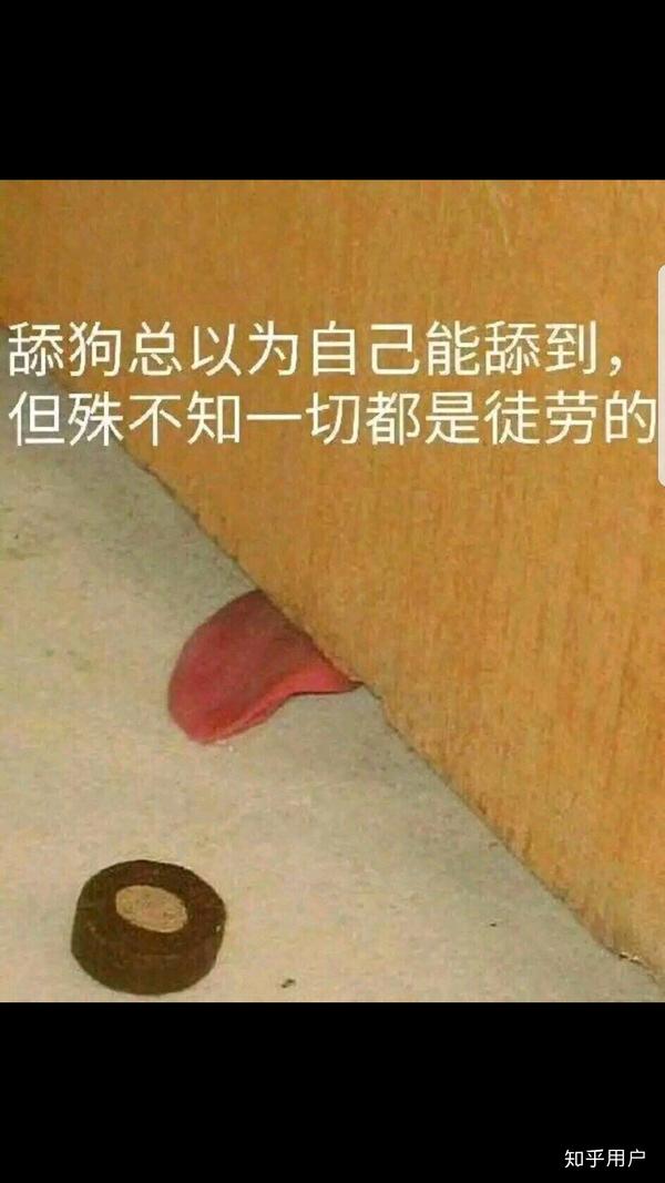 如何看待"舔狗舔到最后一无所有"?
