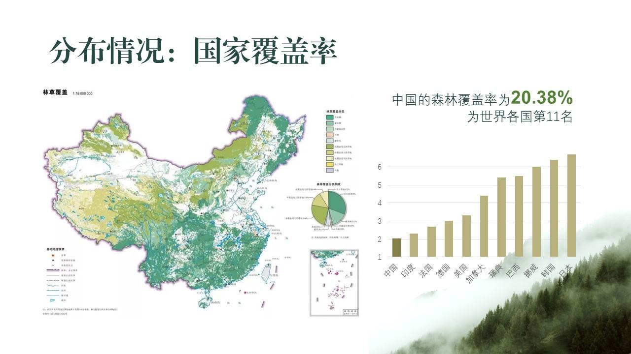 果因ppt案例科普类森林资源调查报告