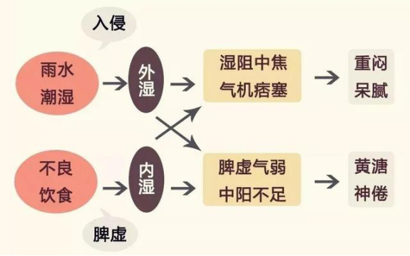 牢记这三点,远离脾虚湿气重!