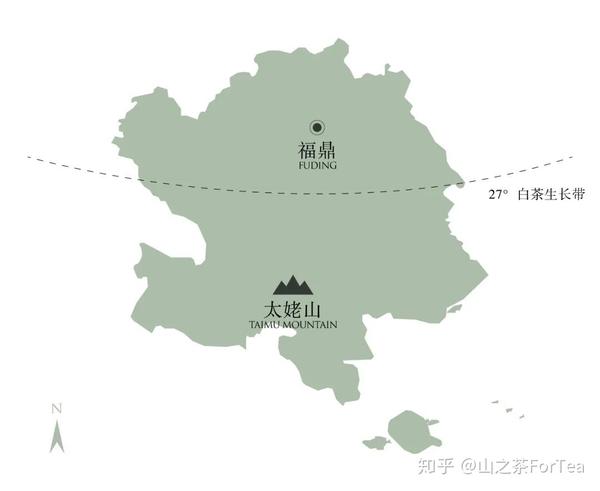 我们从福鼎市点头镇,带回了珍藏五年和八年的老白茶