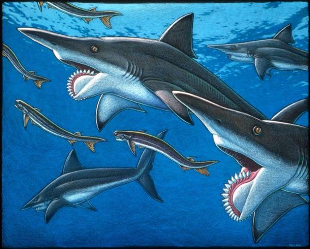 旋齿鲨灭绝了吗旋齿鲨是上古时期的吗