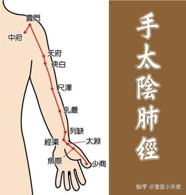 刮上肢内侧前肺经,从尺泽穴往下经孔最,列缺刮至鱼际穴,以皮肤出痧为