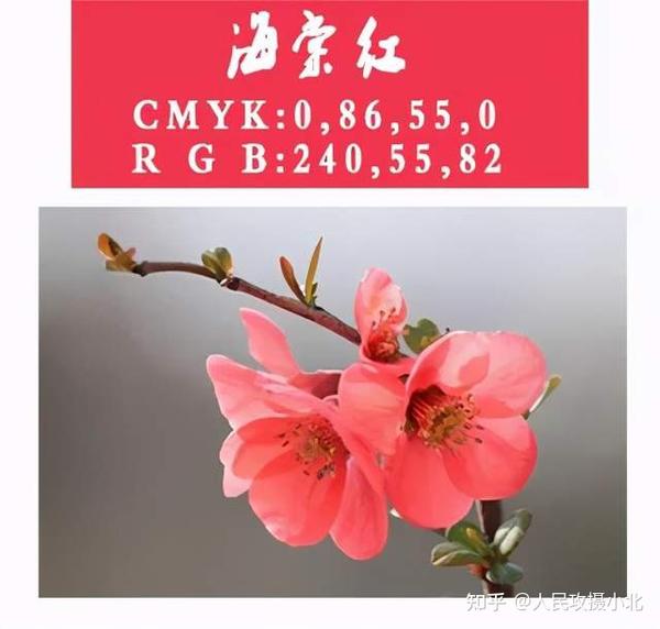 海棠红呈淡紫红色,是非常妩媚娇艳的颜色,低调但不缺少贵气.