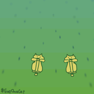 抖音网红沙雕eveonecat猫猫表情包