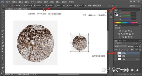 人类高质量科研图片生信sci免疫组化细节放大图绘制手把手教会你