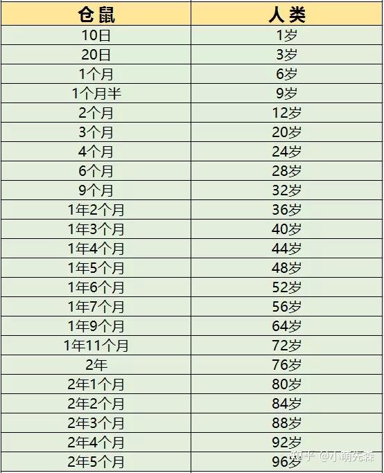 仓鼠与人类年龄对照表仓鼠学堂