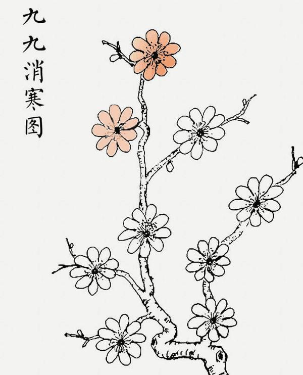 可以画梅花,每天涂一片花瓣:也有九九消寒图:数九方法各异,有九九消寒