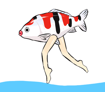 所以给你们准备好啦:  转发这条不躺不游还会走的魔力(魔性)锦鲤 你