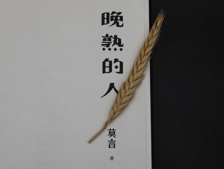 晚熟的人