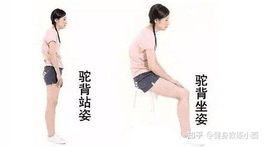 让背部变薄变美