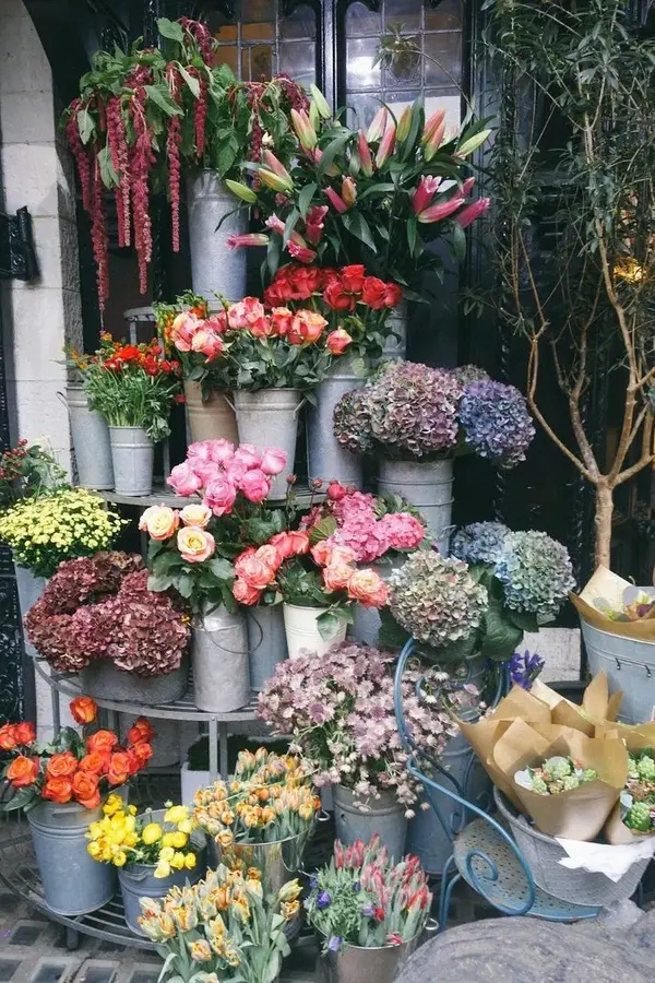 花艺∣我也想在街角开一间花店