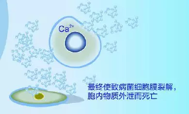 买一送三丨不含酒精的漱口水温和不刺激抑菌效果特别好