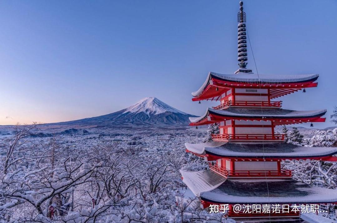 日本最治愈景点top10魔法森林位居第一