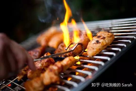 朴茨茅斯户外bbq烧烤攻略