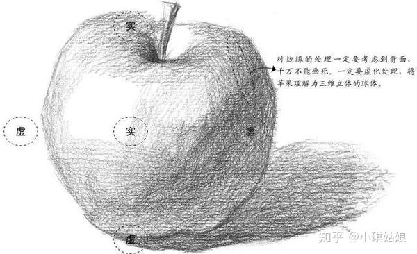 由暗面逐渐向灰面和亮面过渡,通过虚实的变化表现出苹果的立体感.
