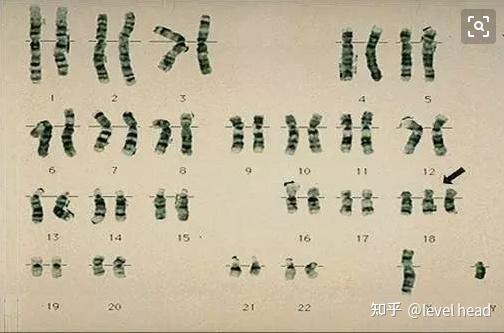细胞遗传学在遗传中有哪些应用