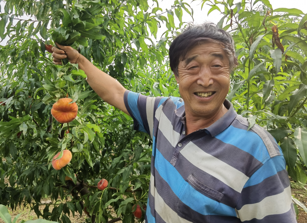 首发于安壮壮 写文章 登录
