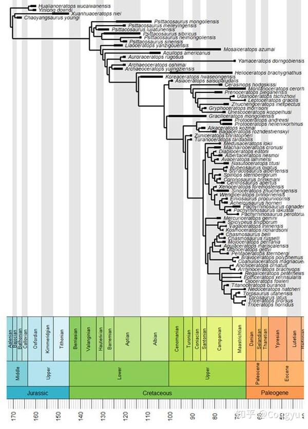 详细的角龙类演化树,knapp et al. 2018