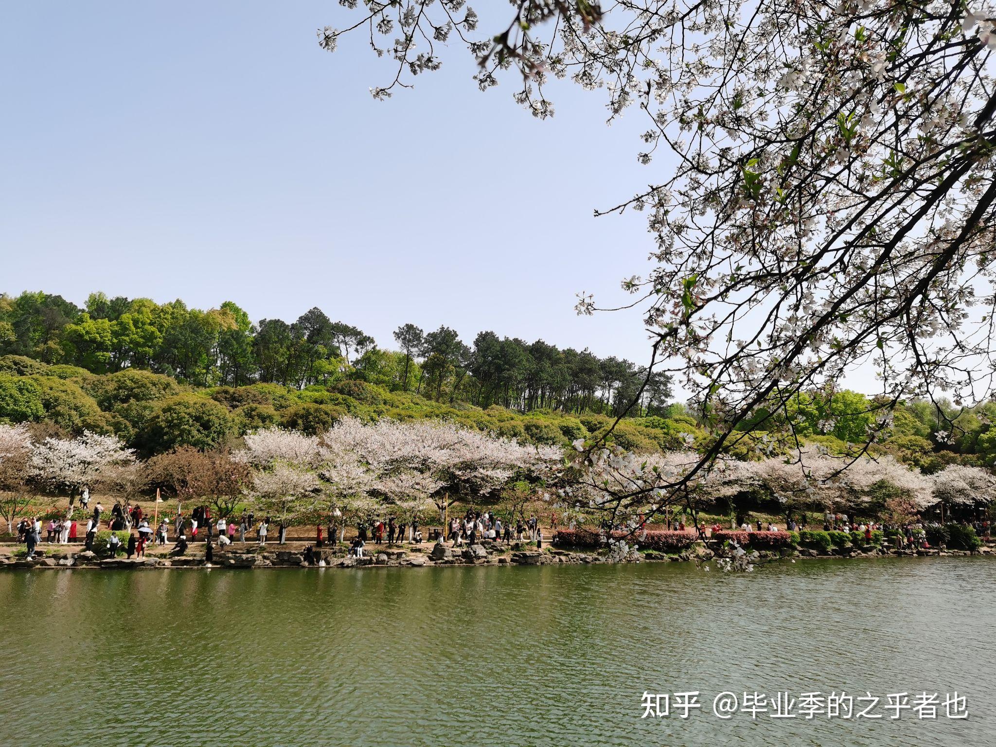 出去转转,四处看看——湖南省森林植物园