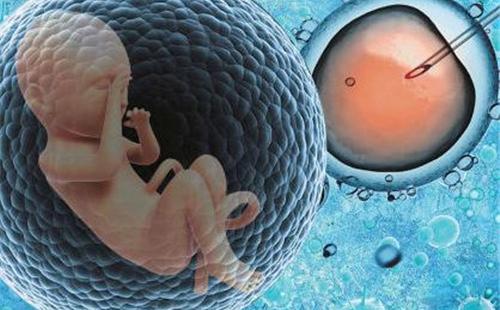 试管婴儿胚胎有几个等级哪个等级最好