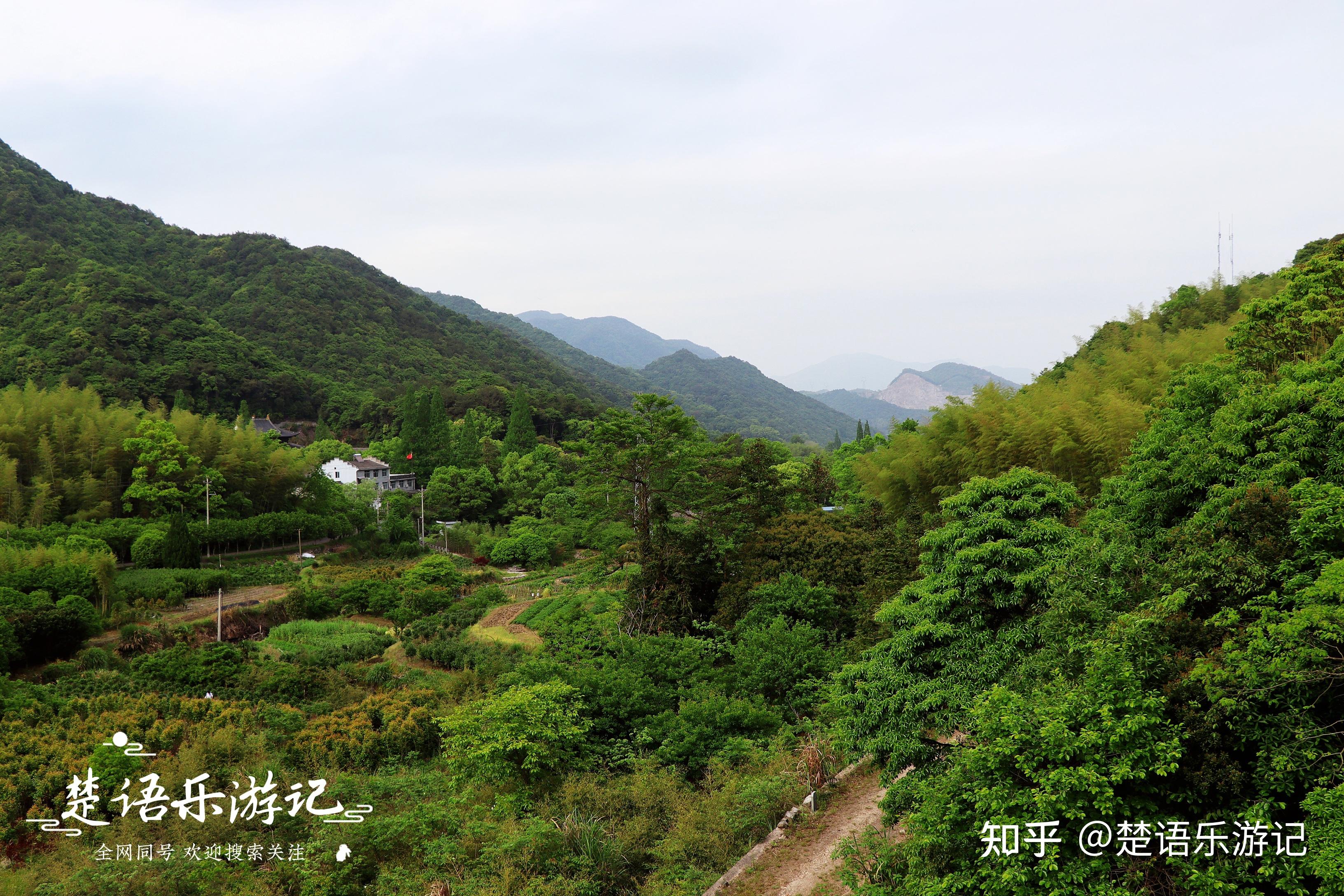 宁波这个中国长寿村到底有啥好玩的原来风光秀丽如绿野仙踪是一个乡村
