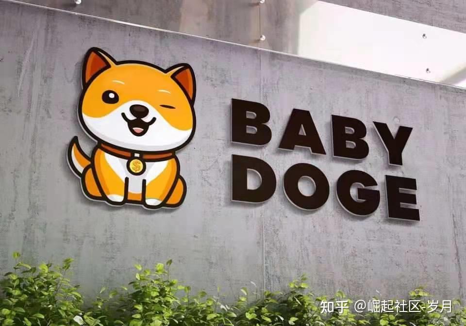 babydoge能成为下一个万倍币吗