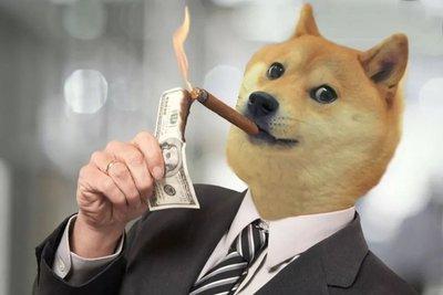 狗狗币手机钱包怎么用_狗狗币五年后能涨多少_狗狗币