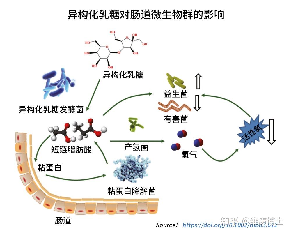 异构化乳糖这种原料,水很深价格差别极大,和纯度有关,纯度低的便宜