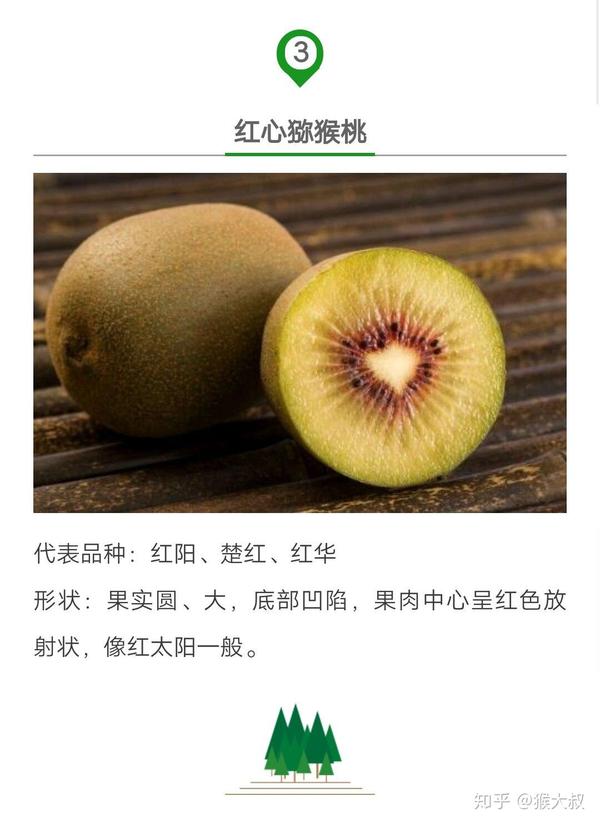 别再傻傻分不清!带你了解猕猴桃各种颜色肉心